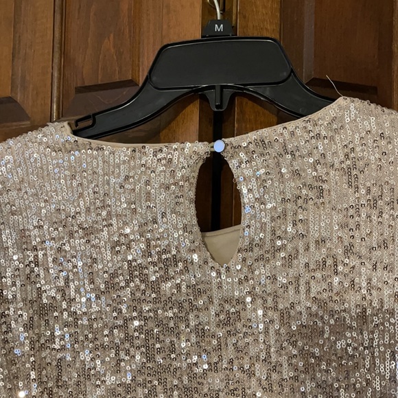 Bohme Blush/Nude sparkle dress. NWT- medium - Picture 7 of 7